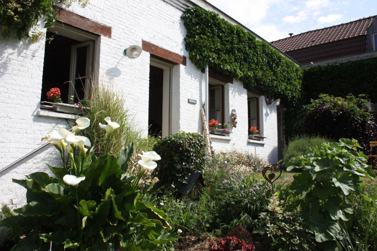L'Atterrissage Bed and Breakfast Santes Eksteriør billede